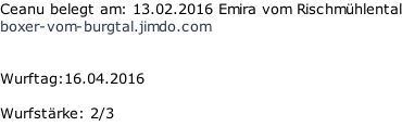 Ceanu belegt am: 13.02.2016 Emira vom Rischmühlental boxer-vom-burgtal.jimdo.com   Wurftag:16.04.2016  Wurfstärke: 2/3